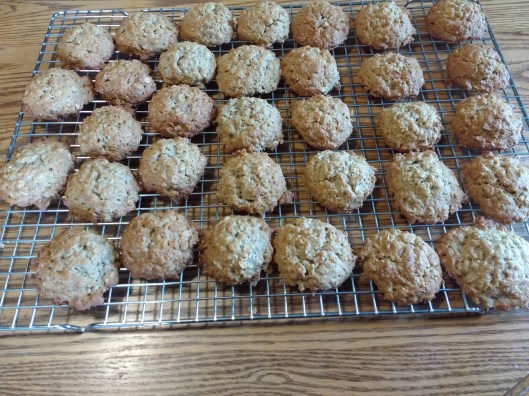 IMG_20171013_122720421